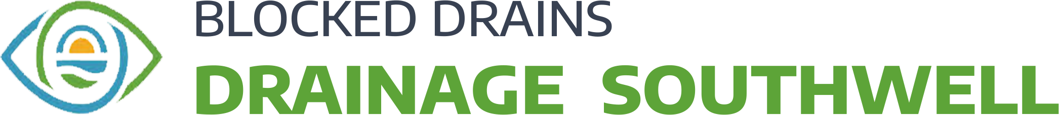 website logo